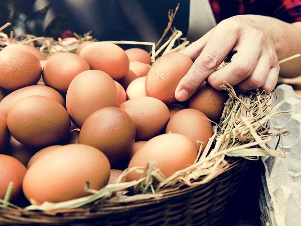 Nằm mơ thấy ổ trứng gà điềm tốt hay xấu? | Phụ Nữ & Gia Đình